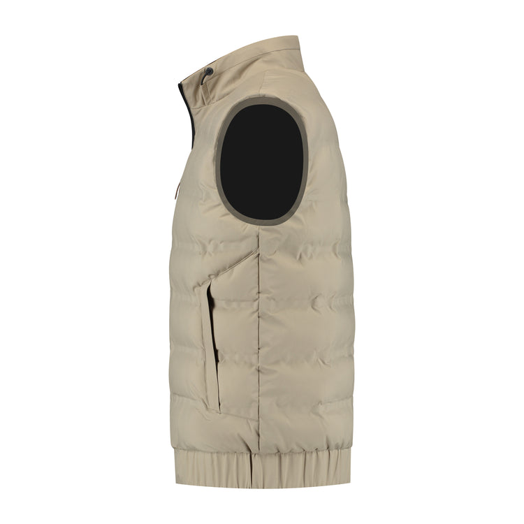 Magnus Taupe L