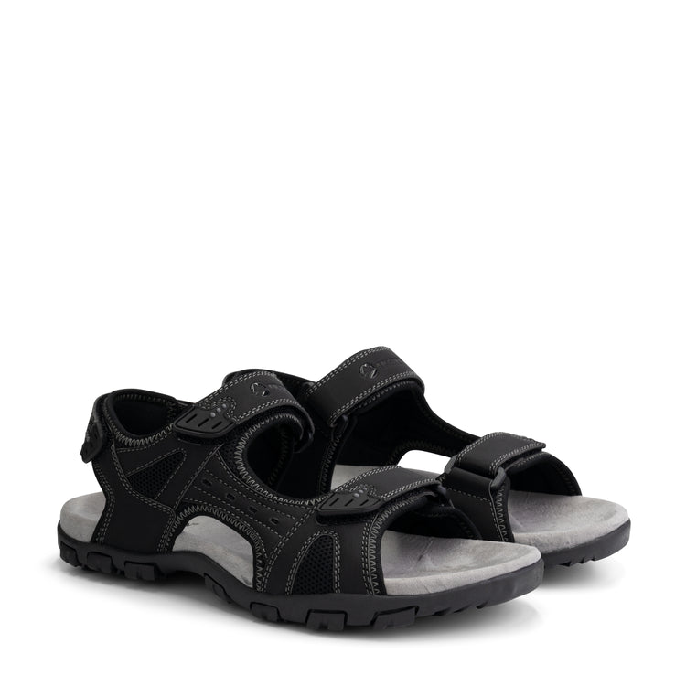 Horten Black FRD