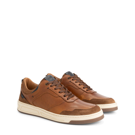 Darley Men - Sneakers - Leather - Cognac FRD