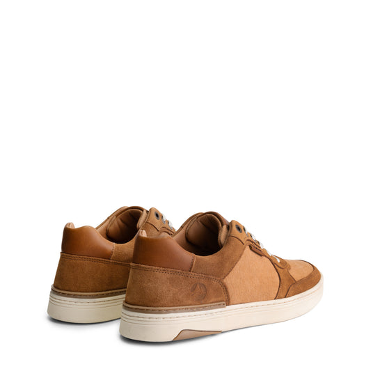 Bromley Men - Sneakers - Canvas and suede - Cognac BD